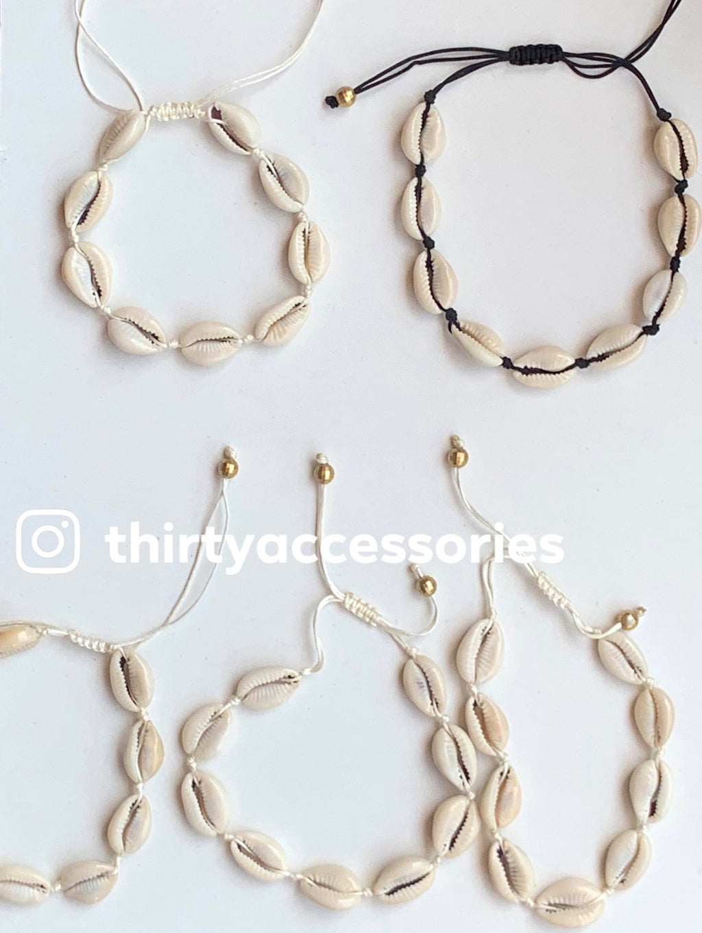 Cowrie Shells